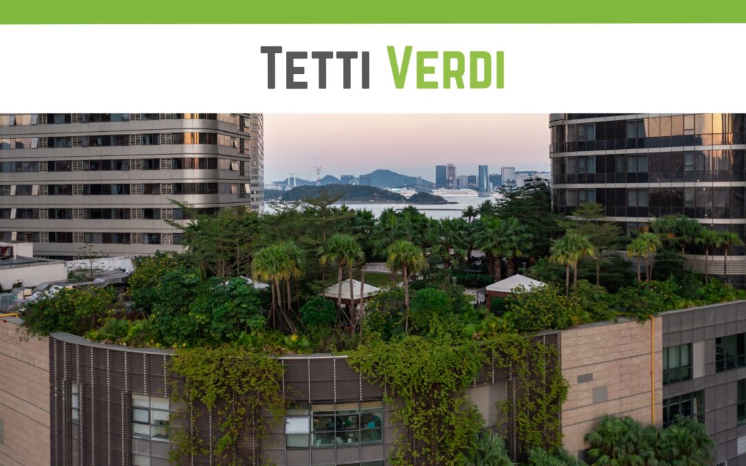 Tetti verdi: efficienza energetica e nuove opportunità di utilizzo