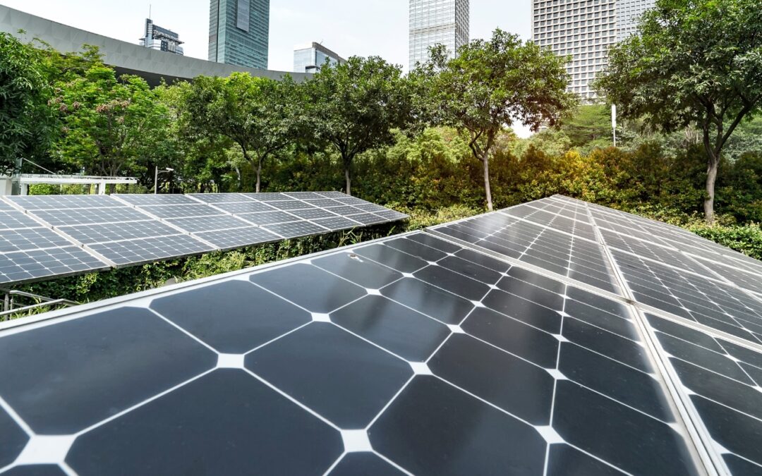 Edilizia sostenibile: le pratiche del 2025 per costruire un futuro più green